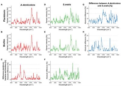 Mapping of a Subgingival Dual-Species Biofilm Model Using Confocal Raman Microscopy